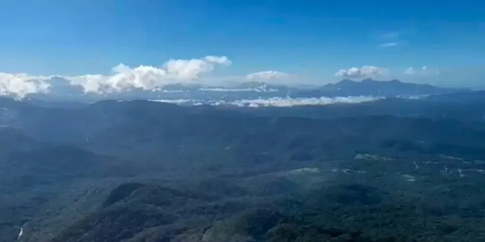 Cerca de 50 profissionais atuam nas buscas no ar e por terra