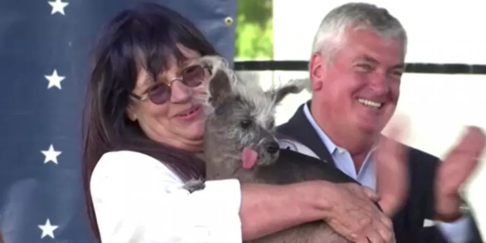 Scooter foi vencedor quase uma década após ter sido salvo da morte