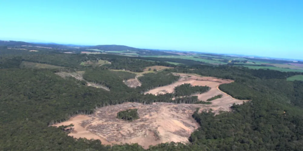 Terreno foi embargado e o responsável terá de reparar o dano ambiental com o replantio da vegetação nativa