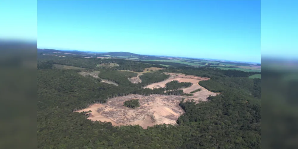 Terreno foi embargado e o responsável terá de reparar o dano ambiental com o replantio da vegetação nativa