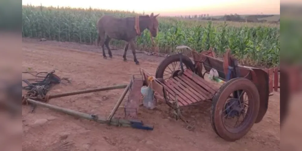 O motorista do caminhão afirmou às autoridades que conduzia um caminhão prancha quando passou pela vítima na charrete.