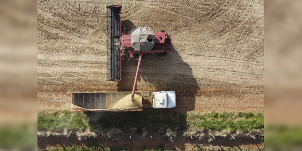 Colheita de soja na região dos Campos Gerais foi concluída em abril