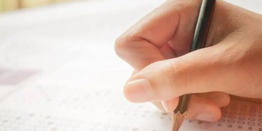 Existem vagas de diversos setores e para diferentes níveis de escolaridade.