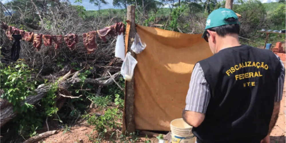 Maior parte dos casos envolve trabalho rural