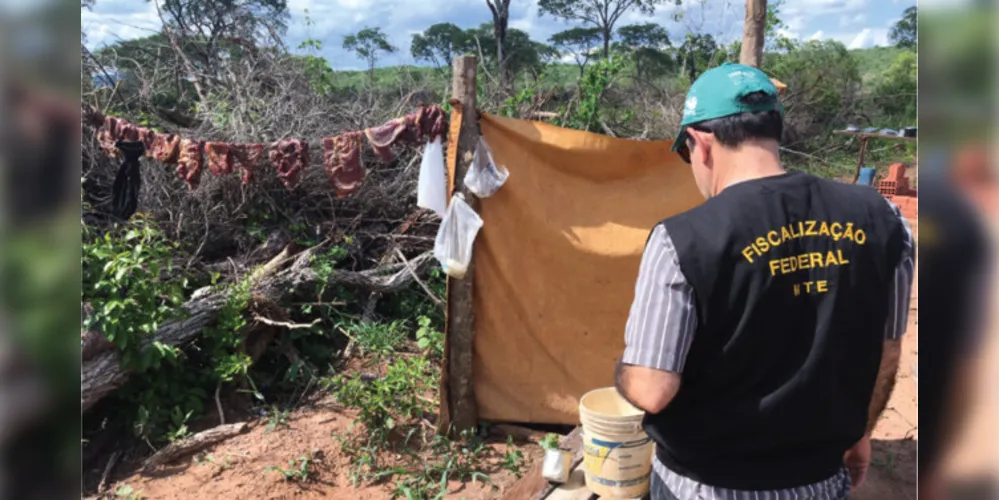 Maior parte dos casos envolve trabalho rural