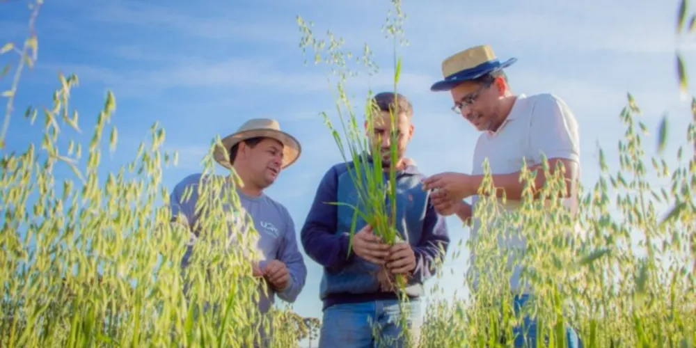 Fazenda Escola da UEPG reduz emissão de 400 toneladas de carbono por safra