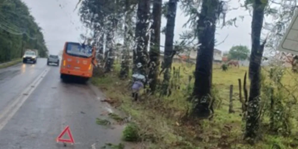 ônibus teve a parte da frente avariada ao ser atingida pelo galho