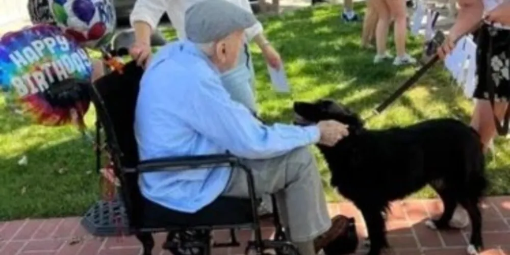 cowboy e outros vestidos com smokings