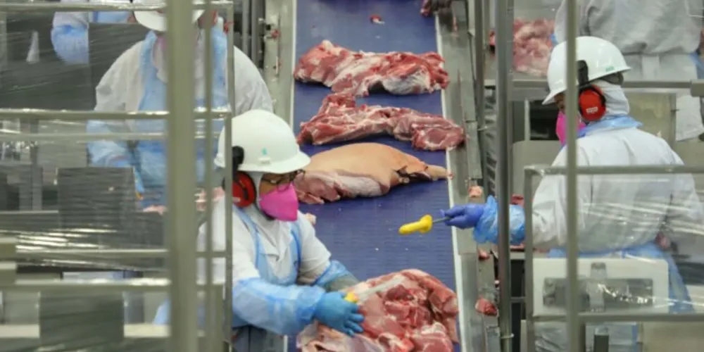 Foram exportadas mais de 473 mil toneladas nos primeiros cinco meses deste ano