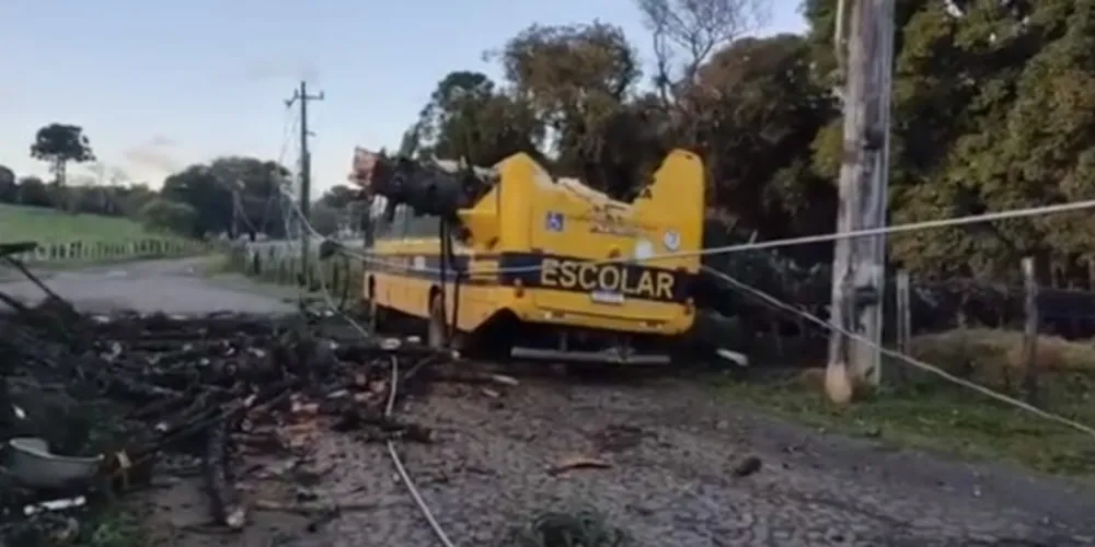 Pinheiro caiu sobre a parte traseira do ônibus