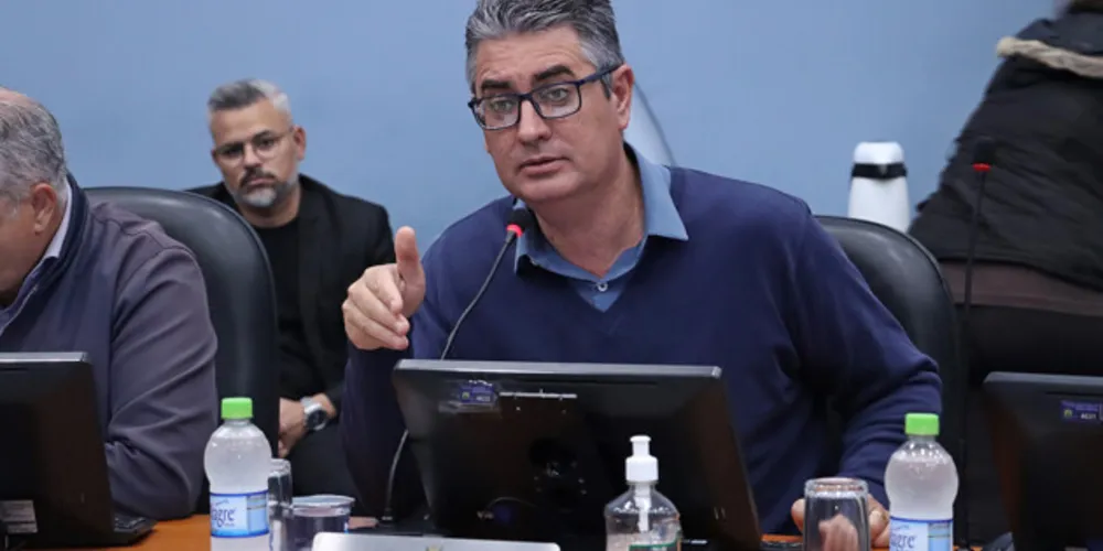 Vereador esteve em conversas com a prefeita Elizabeth e já entrou em contato com deputados federais da base do atual governo brasileiro