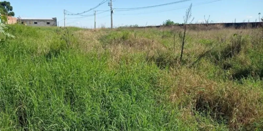 A penalidade pode variar entre 10 a 80 VRs mais fração para cada 1000 m², nos termos da Lei nº 12.427/2015