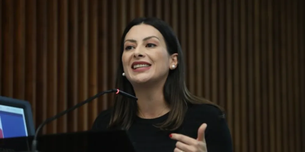 Mabel explica que por meio da emenda, propõe-se acabar com todas as formas de discriminação contra as mulheres e meninas