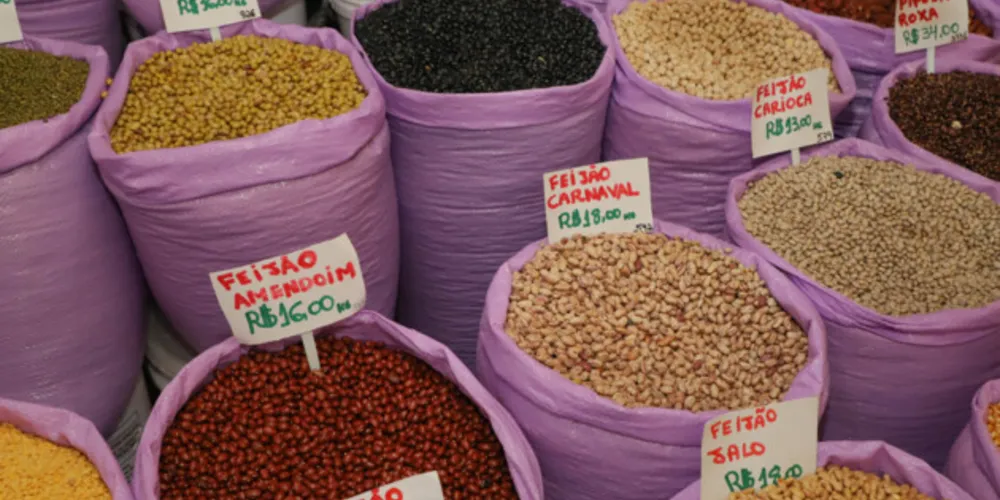 A ausência de chuvas também ajuda na colheita e na qualidade do feijão