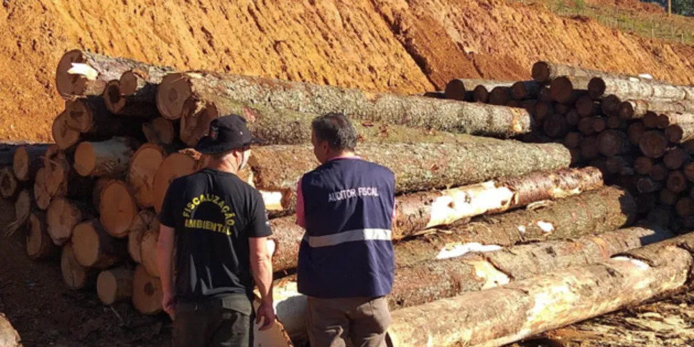 Receita Estadual emitiu neste ano 1.705 autos de infração para recuperar R$ 666,2 milhões