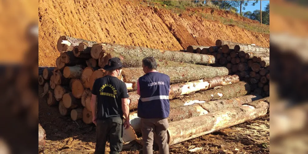 Receita Estadual emitiu neste ano 1.705 autos de infração para recuperar R$ 666,2 milhões