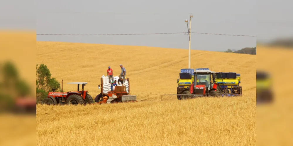 O crescimento na comparação com o trimestre anterior foi puxado pela agropecuária