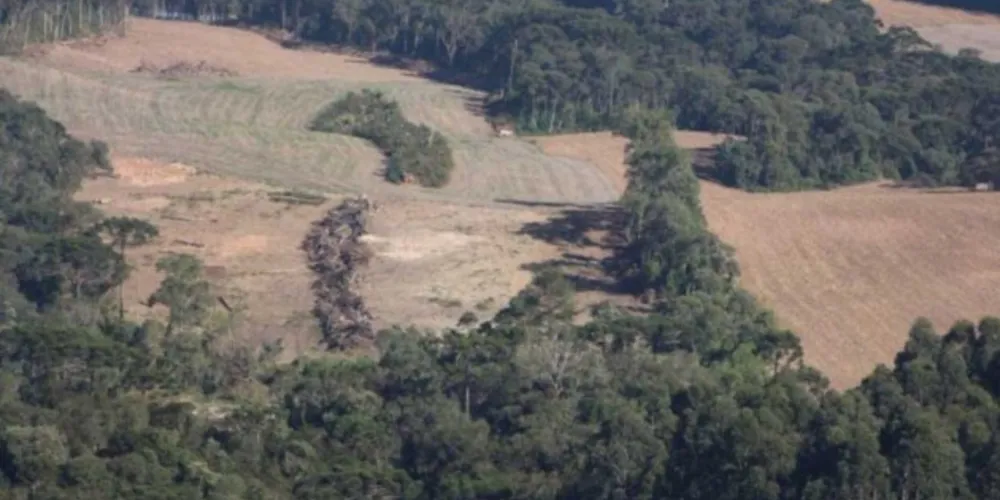 Caminhoneiro é assaltado e fica dois dias em mata no PR