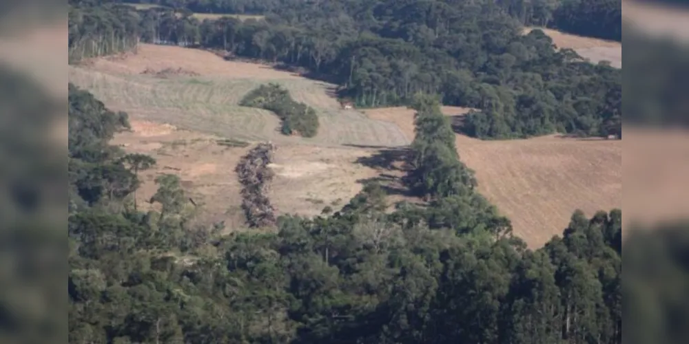 Caminhoneiro é assaltado e fica dois dias em mata no PR