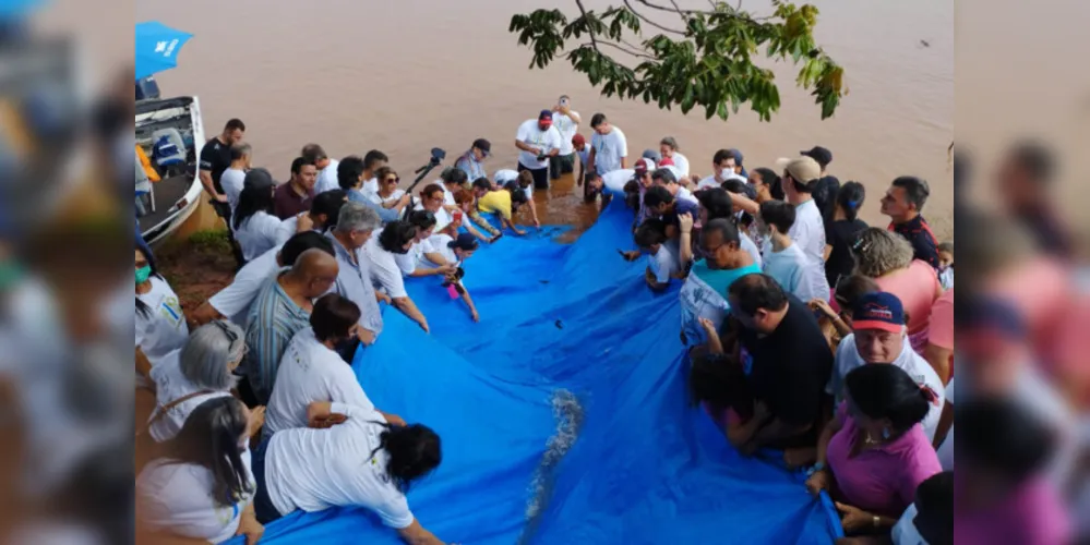 Quantidade é 275% superior à fase inicial do projeto, quando foram soltos cerca de 2,675 milhões de peixes entre 2019 e 2022