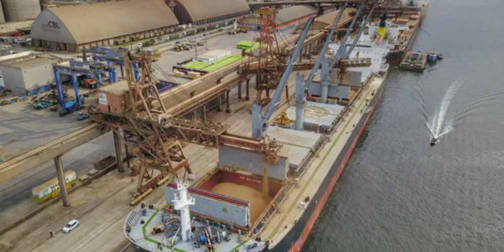 A soja está entre os produtos mais exportados pelo Estado do Paraná