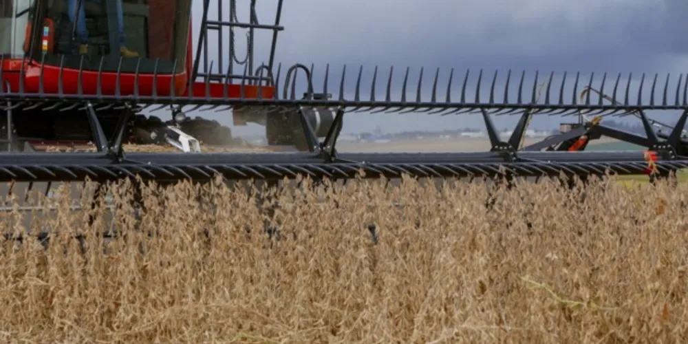 A soja e seus derivados corresponderam a mais de 80% do valor das exportações da cidade no semestre