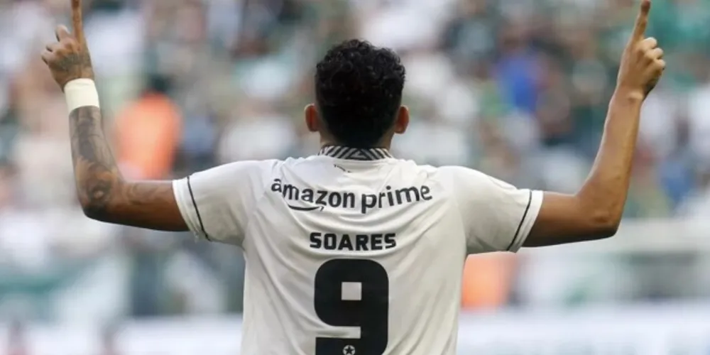 Tiquinho Soares, artilheiro do Campeonato Brasileiro com 10 gols e camisa 9 do Botafogo, balançou a rede do Palmeiras ainda no 1º tempo