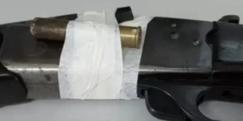 Arma e munição passarão por perícia