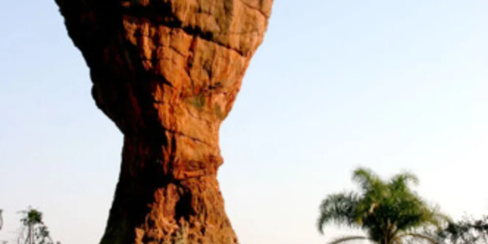 Ideia é compor um grande galera para as redes sociais do Parque