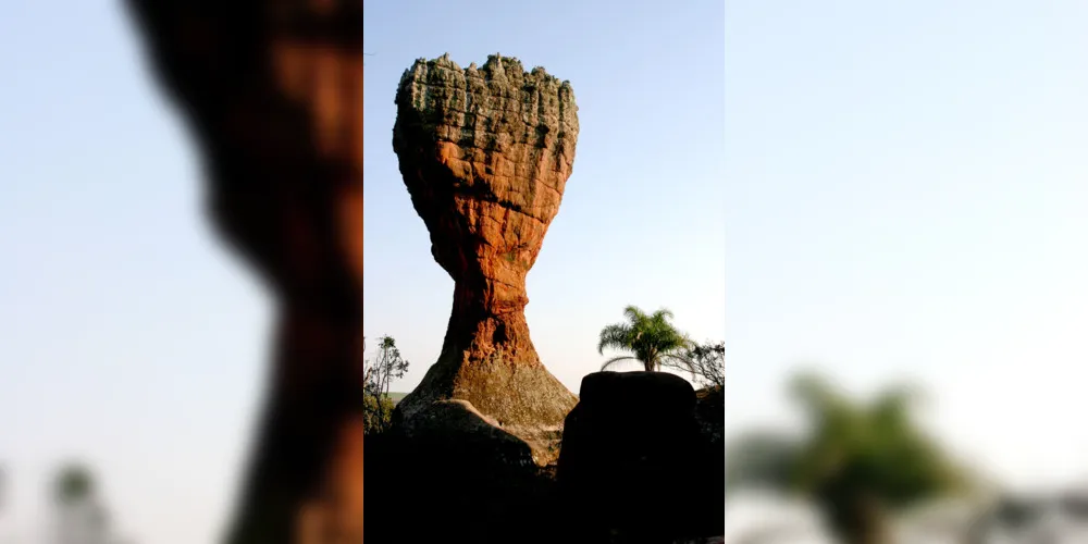 Ideia é compor um grande galera para as redes sociais do Parque