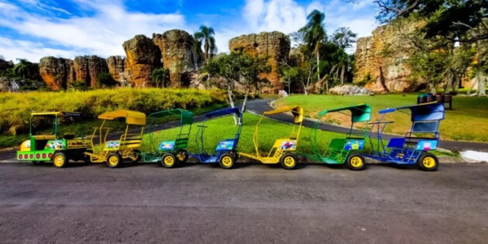 O veículo, que contém 12 lugares, comporta pessoas de todas as idades.