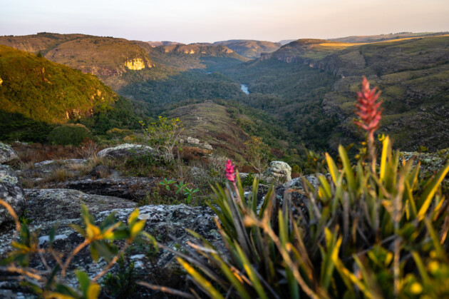 Os dados são do Instituto Água e Terra (IAT)