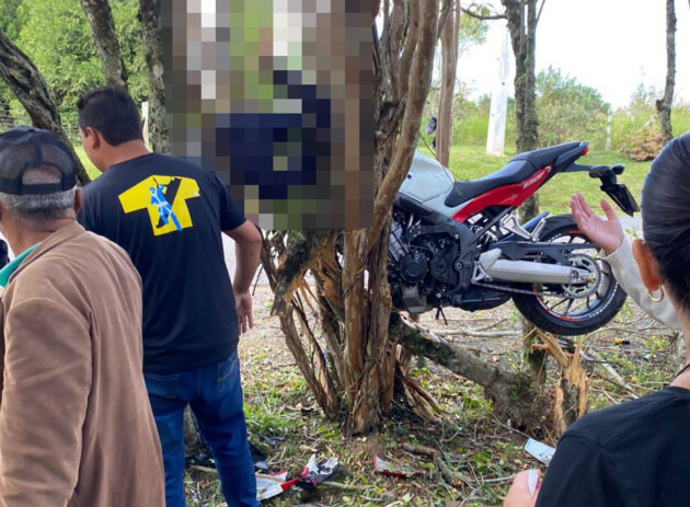 Motociclista ficou 'pendurado' nos galhos da árvore, assim como a sua motocicleta, uma Honda CBR 650F