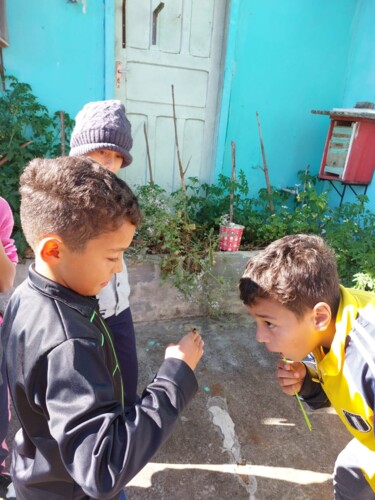 Um dos momentos mais empolgantes durante as atividades foi a visita que a turma realizou a um criador informal de abelhas