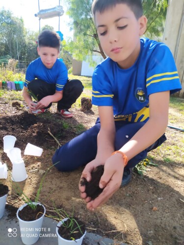 Os alunos realizam o plantio e venda dos alimentos, trabalhando conceitos de sustentabilidade e educação financeira