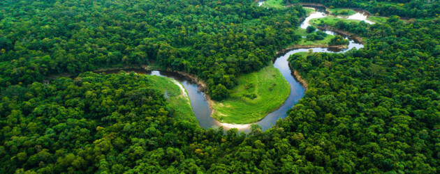 Produção detalha a formação e todas as características do bioma amazônico