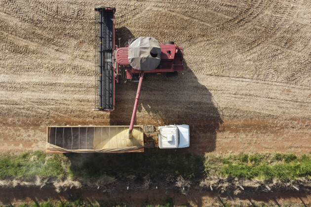 Colheita de soja na região dos Campos Gerais foi concluída em abril