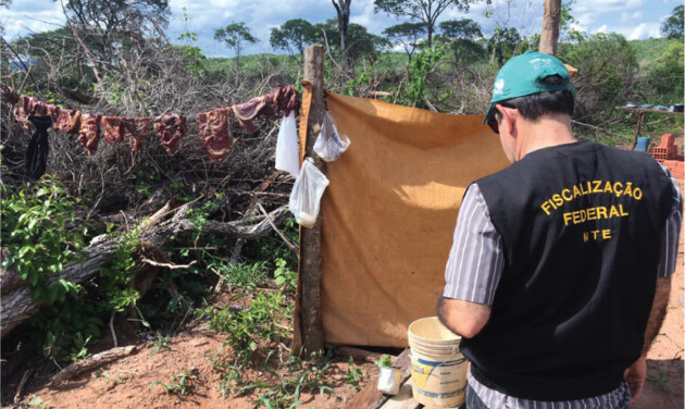 Maior parte dos casos envolve trabalho rural