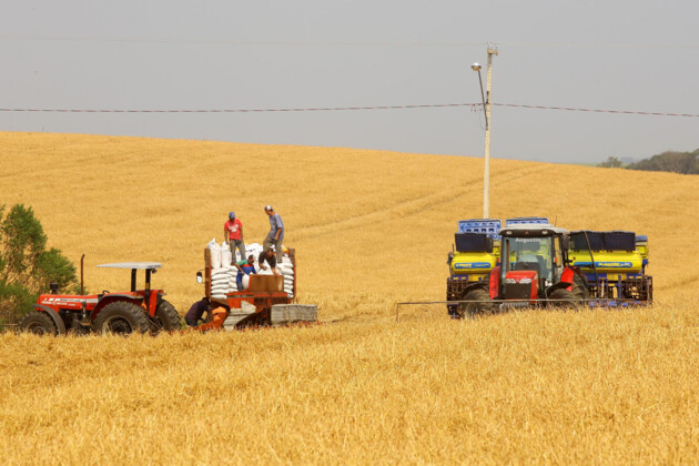 O crescimento na comparação com o trimestre anterior foi puxado pela agropecuária