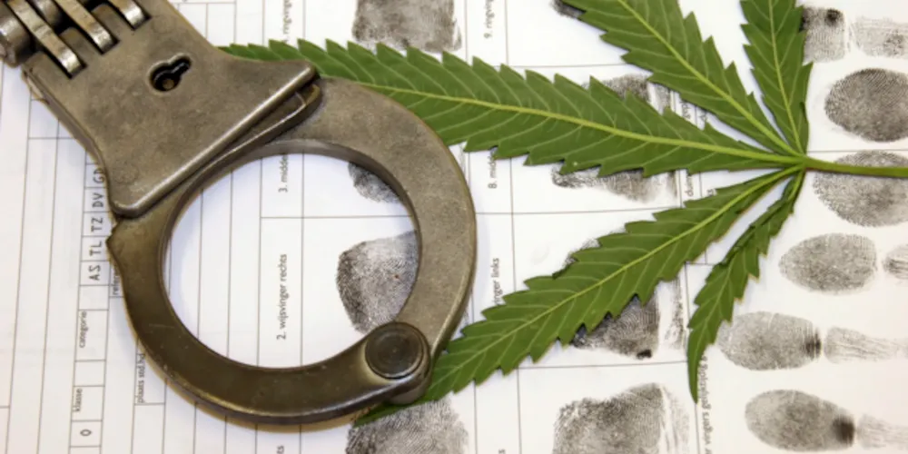 Advogado discorre sobre criminalização de drogas