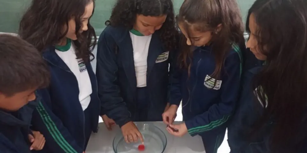 Trabalho despertou curiosidade e engajou classe