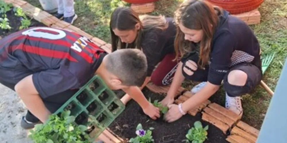 Conscientização cidadã foi um dos principais ganhos pessoais e pedagógicas com a ação