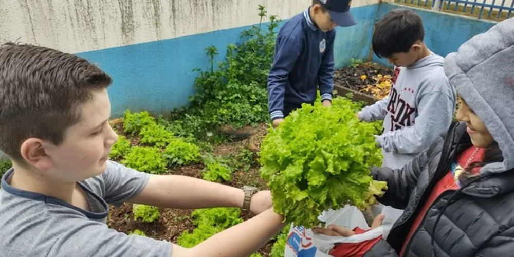 Prática ajudou a elucidar, entre vários pontos, a questão de lucros e prejuízos
