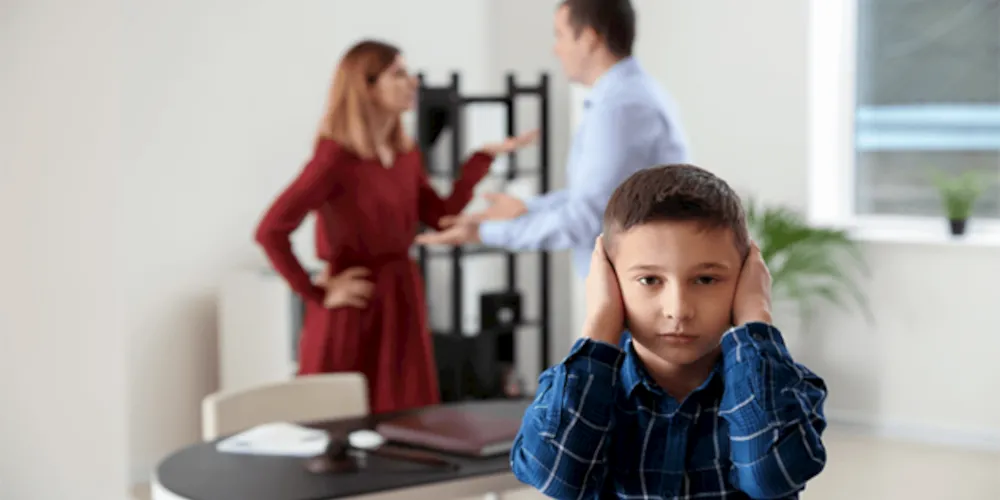 Anelise fala sobre o direito como arma de guerra