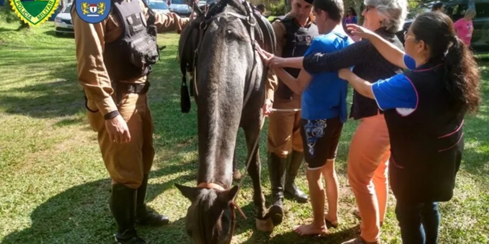 As crianças tiveram a oportunidade de conhecer o cavalo do Pelotão Montado (Hibrael).