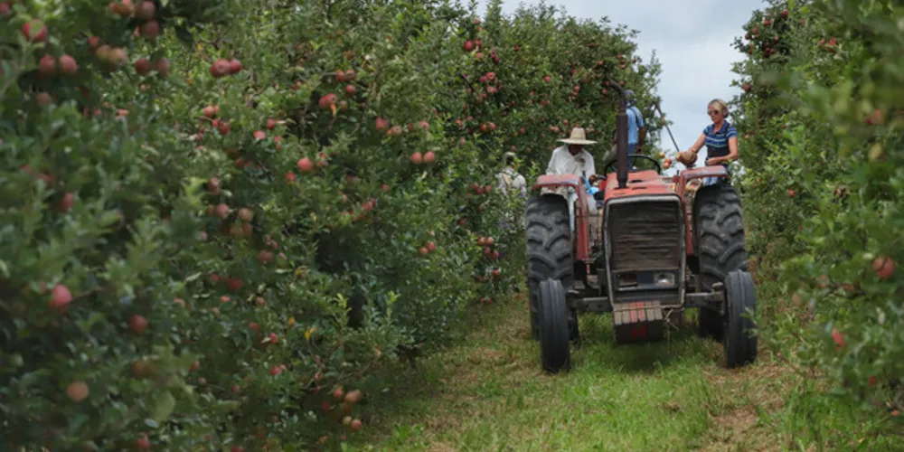 Alterações foram anunciadas no Plano Safra