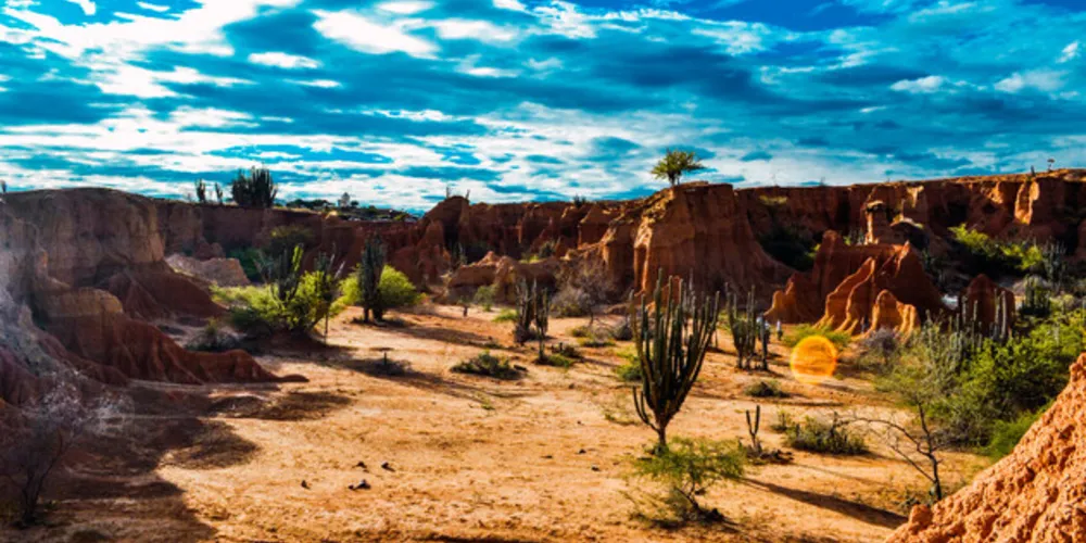 Conteúdo apresenta todas as características do bioma