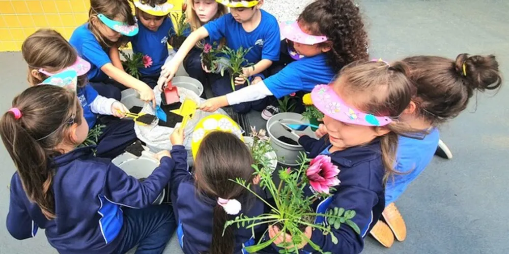 Atualmente, o Município prepara a licitação para obras de reforma e ampliação das três escolas