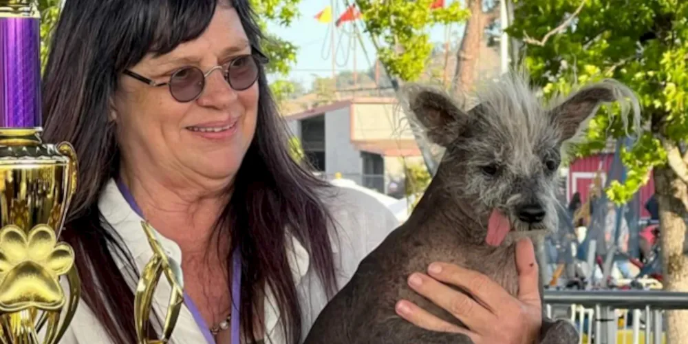 Cachorro Scooter foi o vencedor da última competição, em 2023