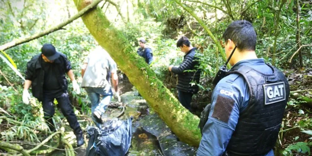 Equipe GAT, da Guarda Municipal, esteve na ocorrência